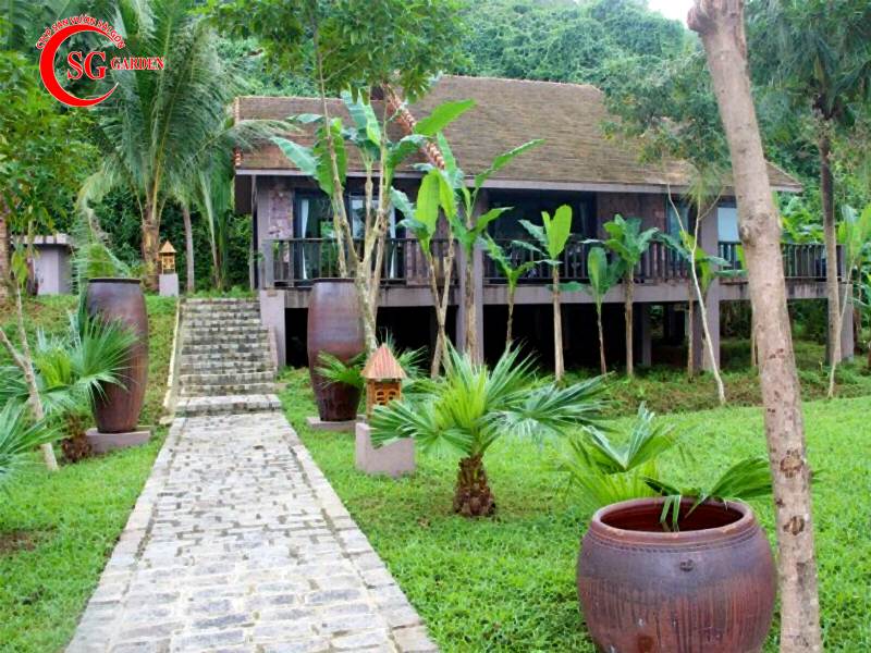 Thiết Kế Sân Vườn Nhà Quê 1
