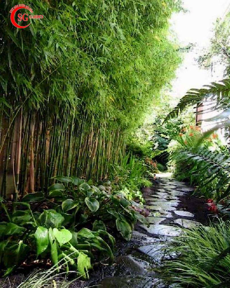 Thiết Kế Sân Vườn Nhà Quê 4