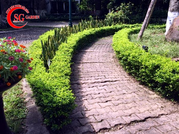 Mãn nhãn 55 mẫu thiết kế sân vườn vườn hoa nhỏ đẹp cực mới lạ